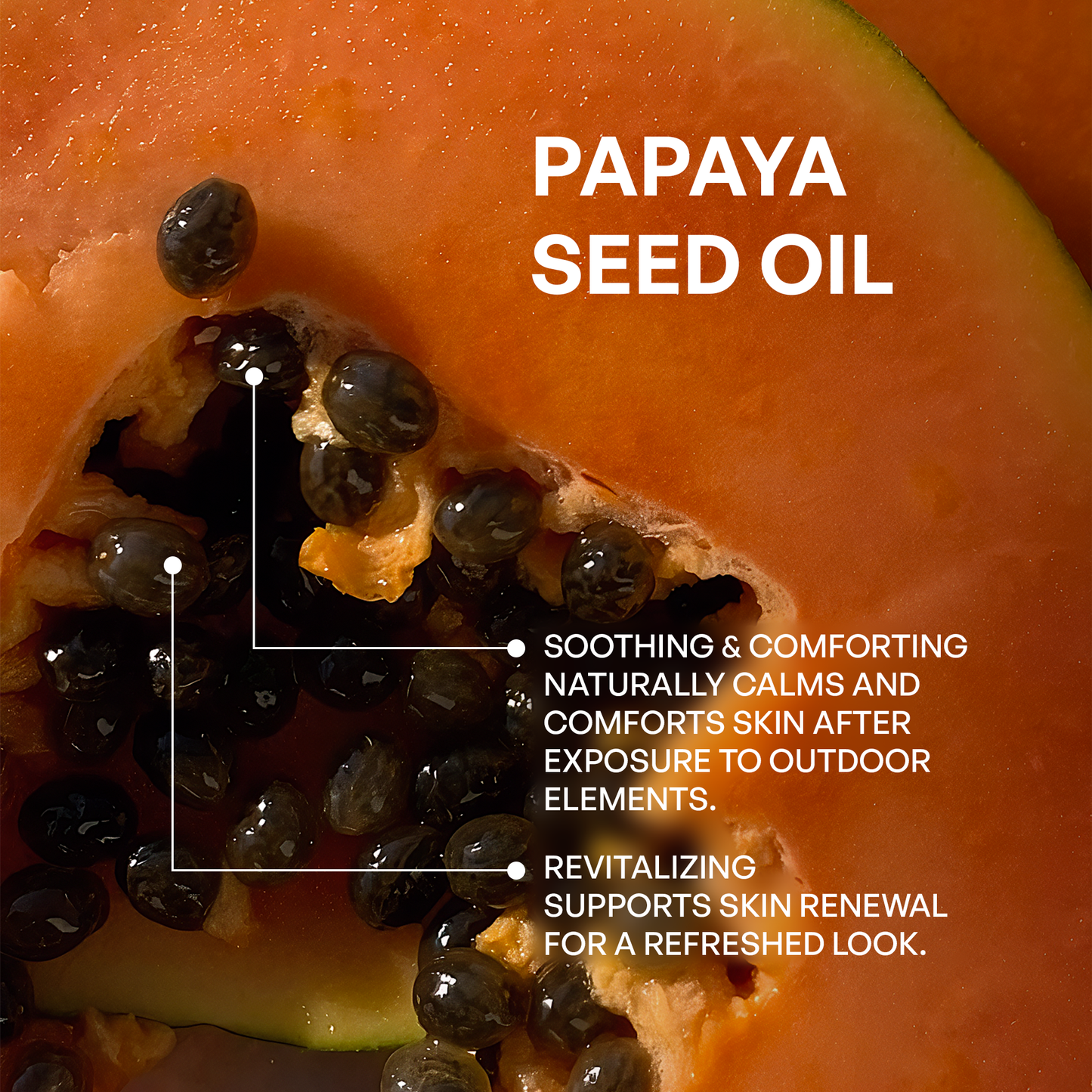 2 Pack Tallow Zinc Sun Stick